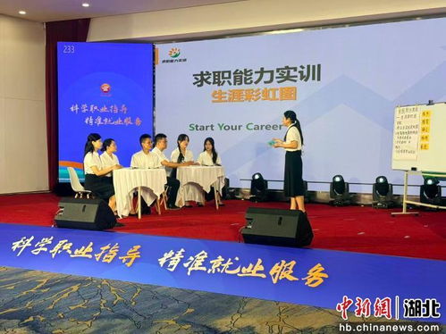 汇聚智慧赋能就业——湖北省公共就业服务专项业务路演活动在武汉成功举办